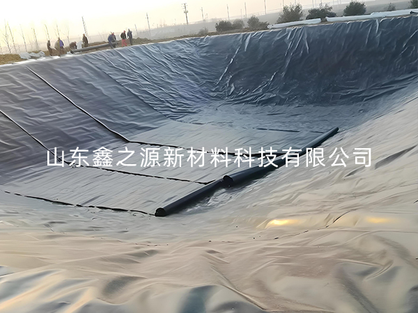 選擇防滲土工膜進(jìn)行小龍蝦養(yǎng)殖有哪些要點(diǎn)技巧？
